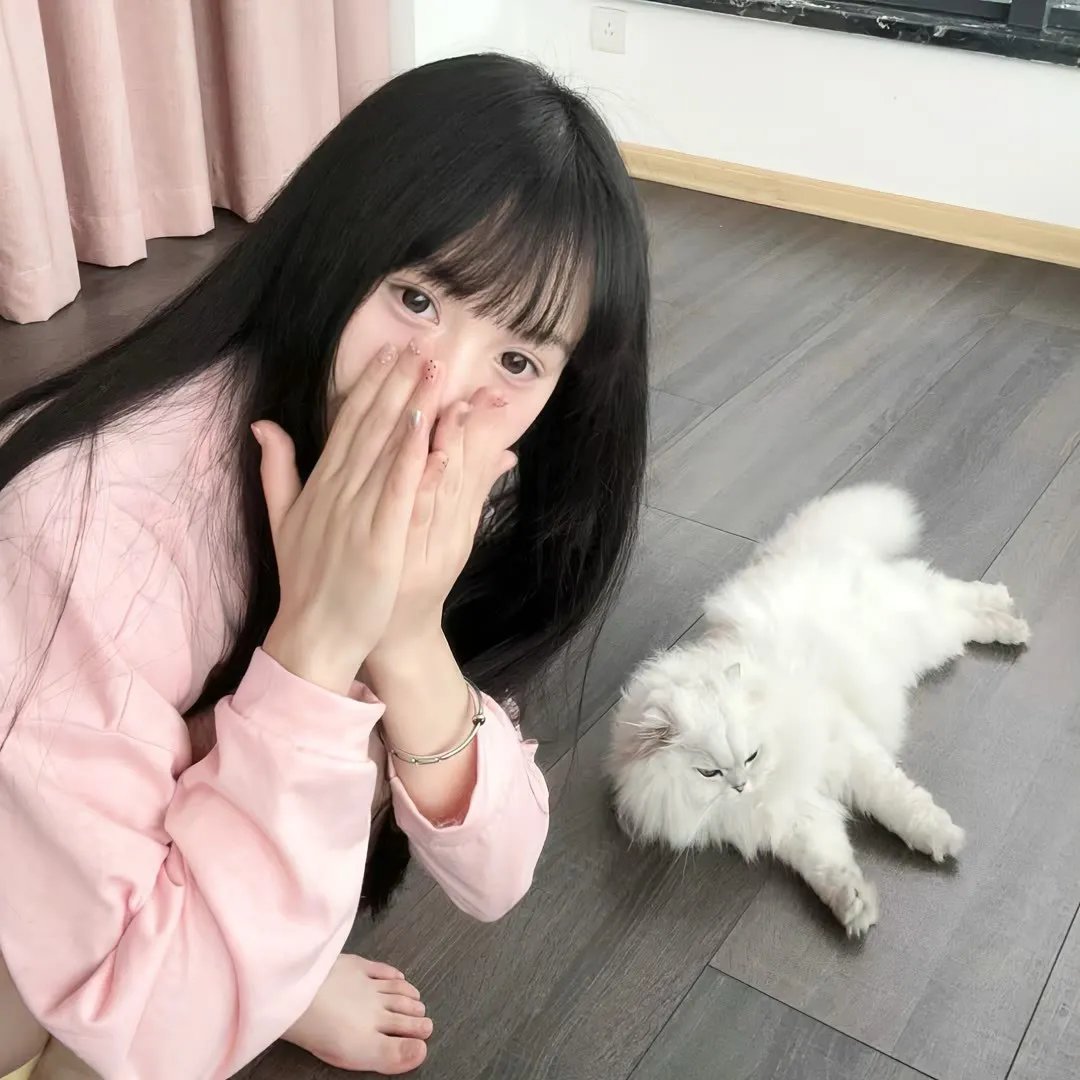 布希维克